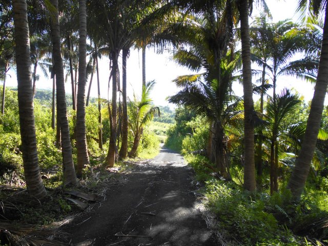 La très champêtre Rue Pompidou dans les cannes et cultures