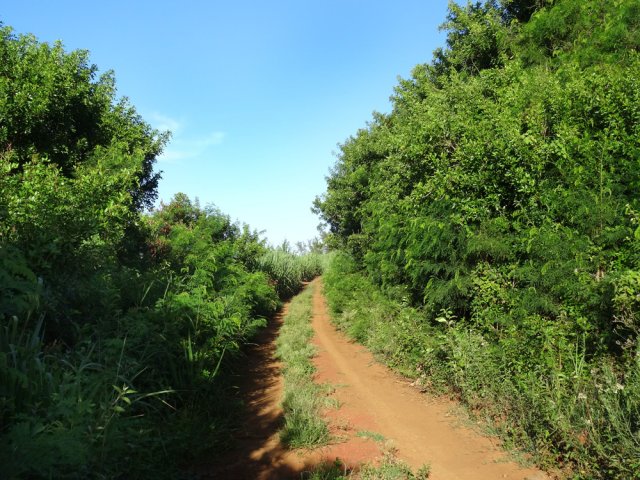 La piste de Petite Île vers Chemin Neuf