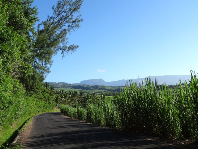 Panoramas jusqu'au Morne Langevin depuis le Chemin Neuf