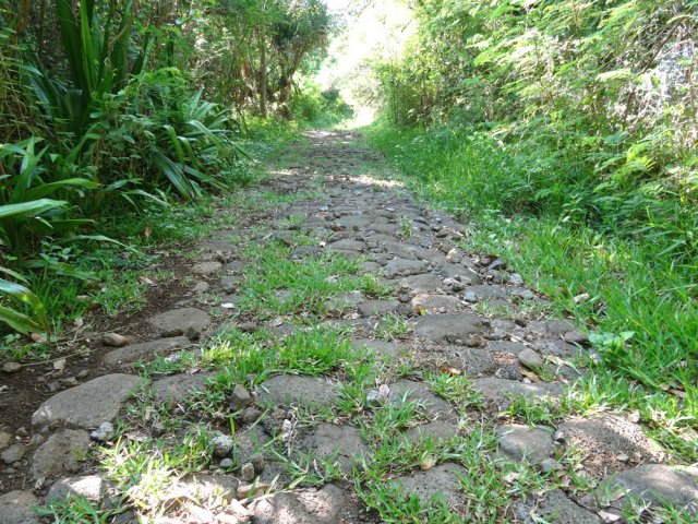 Après le pont de la Ravine de Manapany, tourner sur le Chemin des Anglais