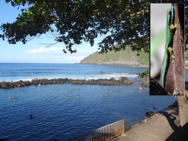 Le bassin de baignade de Manapany, au cœur du domaine du gecko de Manapany