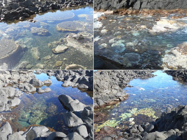 Beaucoup de bassins où il est impossible de se baigner