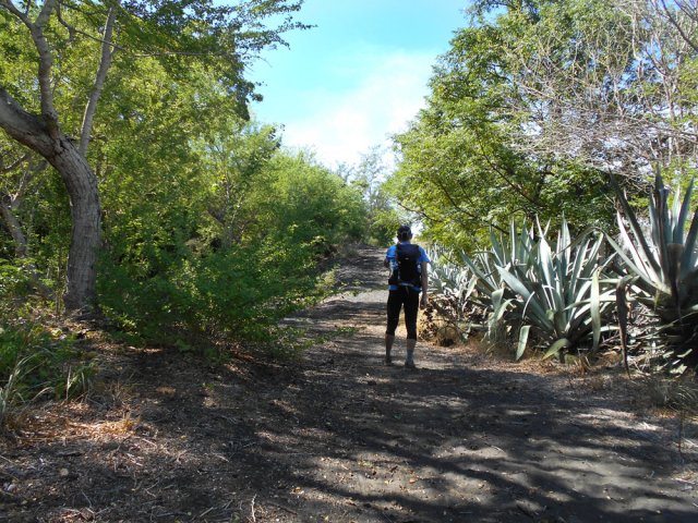 Début de la piste DSCI du Domaine de la Roche Carangue