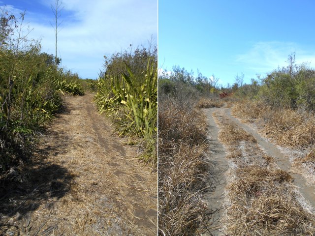 La longue piste qui se termine au Gouffre