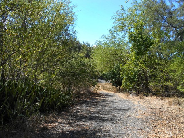 La piste qui frôle la station d'épuration