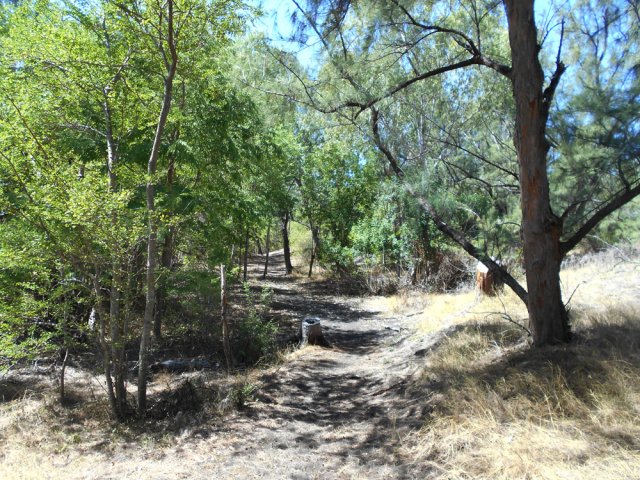 Le sentier évite de marcher sur la piste qui longe la voie rapide