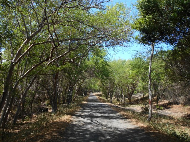 La fin du parcours s'effectue sur la piste proche de l'étang