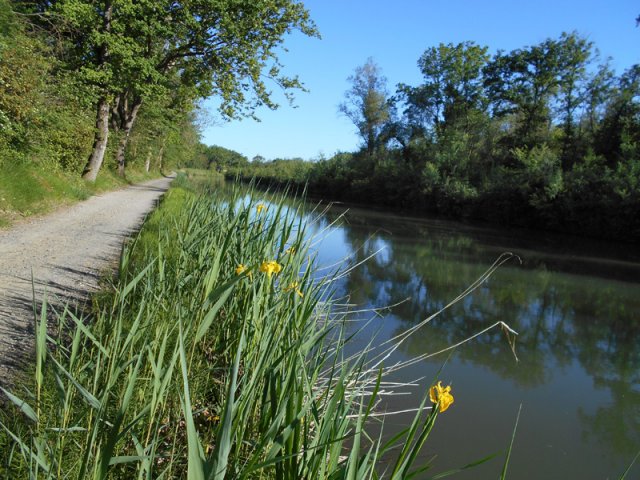 Dénivelé de moins de 20 mètres (dû aux écluses) jusqu'à Carcassonne
