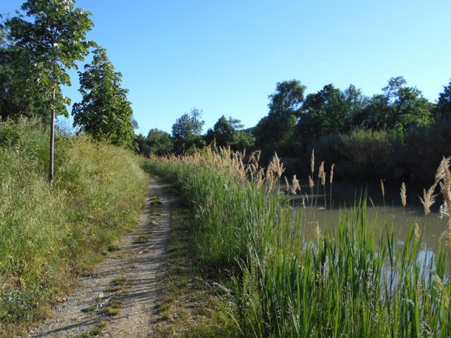 On peut marcher ici à 6km/h sans souffrir