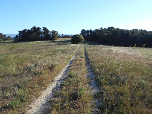 L'agréable piste en direction de Trèbes
