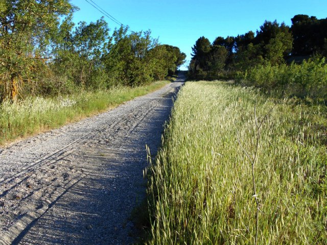 Nouvelle piste champêtre en direction de Trèbes