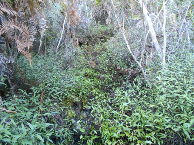 La pente et les pierriers ne varient guère