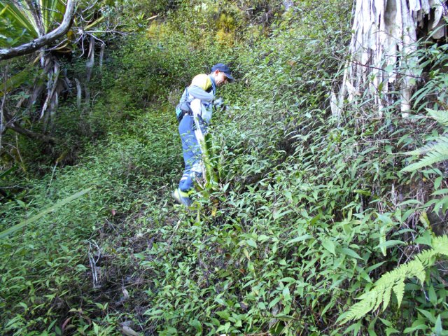 On retrouve plus loin le "sentier officiel"