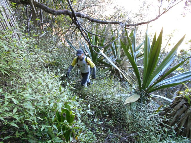 Il semble encore en excellent état par endroits