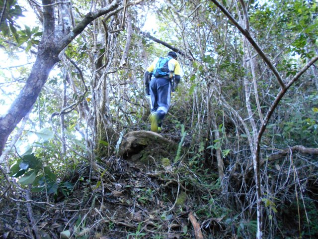 La fin de la montée s'effectue sur l'étroite arête