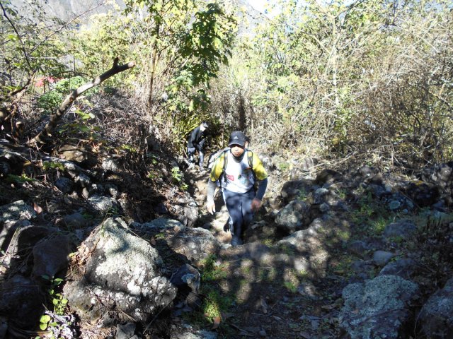 Le sentier à partir du Chemin Morel