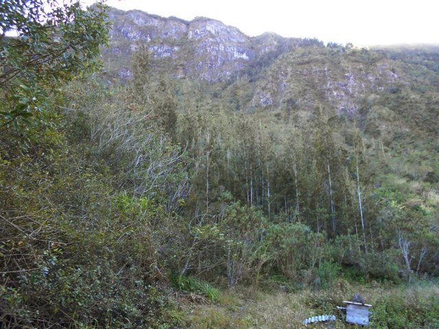 Le Grand Piton dans l'ombre et les ruches servant de repère