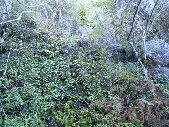 Les premiers cailloux après le grillage