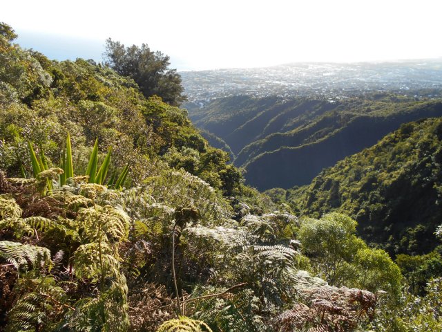 Point de vue sur la ravine du Butor et Sainte-Marie