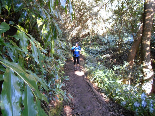 Portions plus humides au passage des dernières ravines