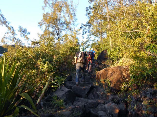 La végétation est assez pauvre malgré le sentier botanique