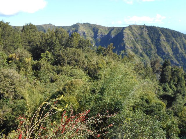 Superbes points de vue sur le Colorado et la vallée de la Rivière Saint-Denis