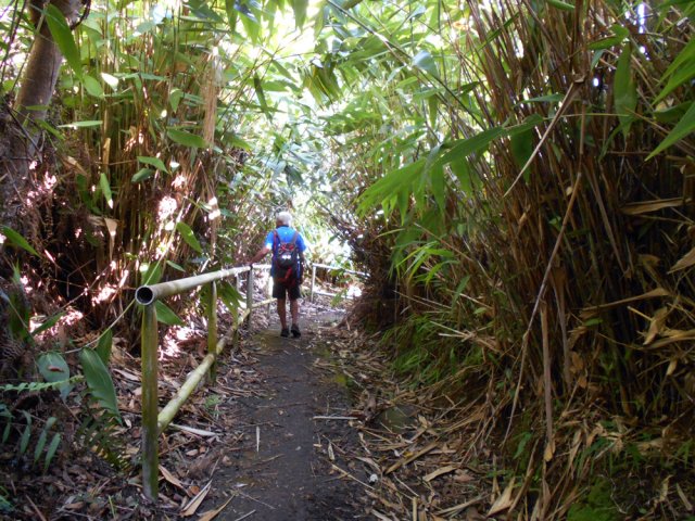 Le chemin des Vétivers, un vrai plaisir d'éviter la D42