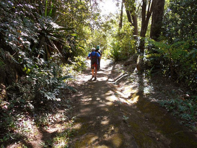 Une autre portion de la descente dans les bois