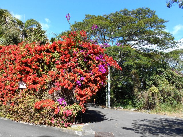 La fin de l'Allée des Hématites