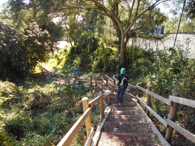 Le long escalier entre les stades de la Source