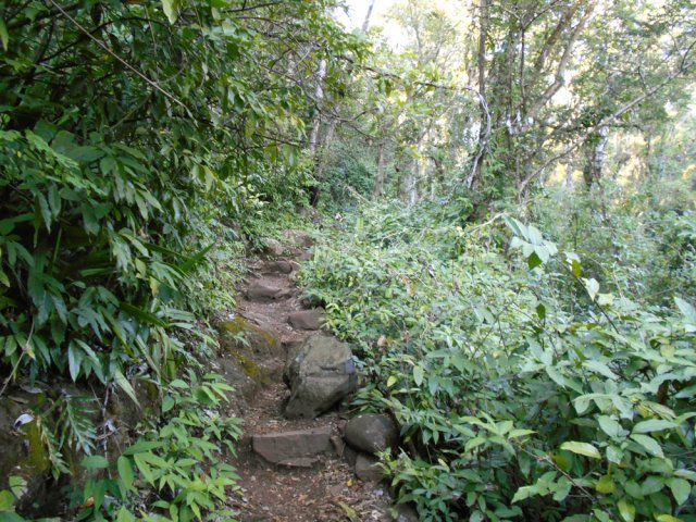 Le sentier est rarement étroit