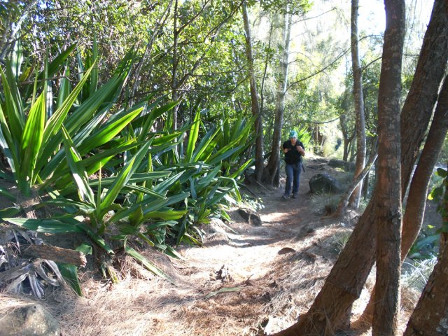 Chocas et filaos après la piste