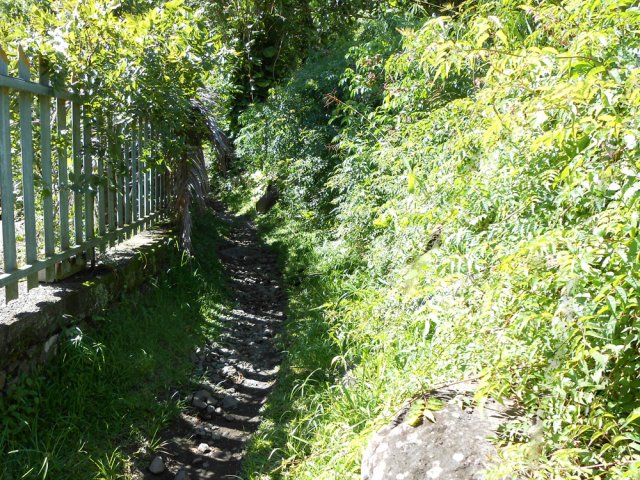 Le début du sentier en direction de la passerelle de la Rivière du Mât