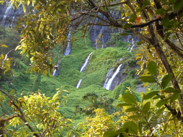 Point de vue sur les chouchous et les cascades depuis le bois de rempart