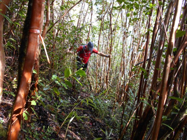 Quelques rubalises vieillissantes rassurent en cas de doute