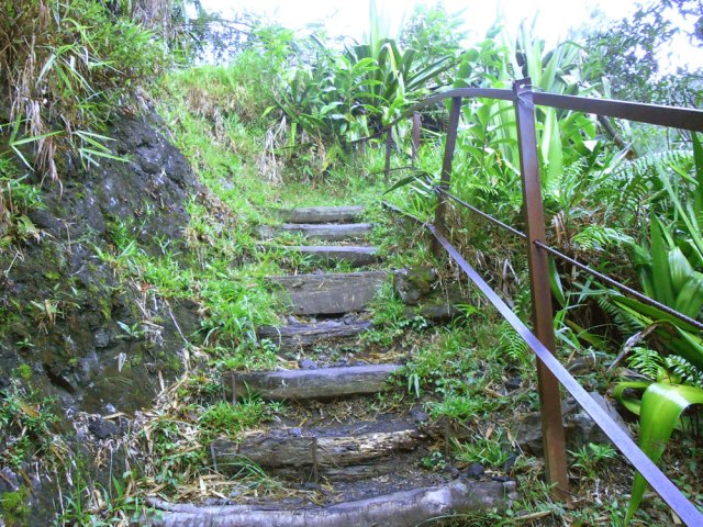 La montée, sur quelques marches, à l'Îlet Bananiers sert d'échauffement