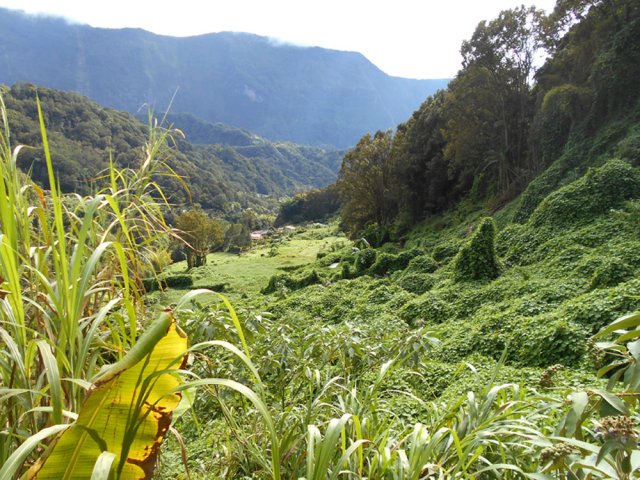 Petit coup d’œil sur les chouchous avant d'entreprendre la montée