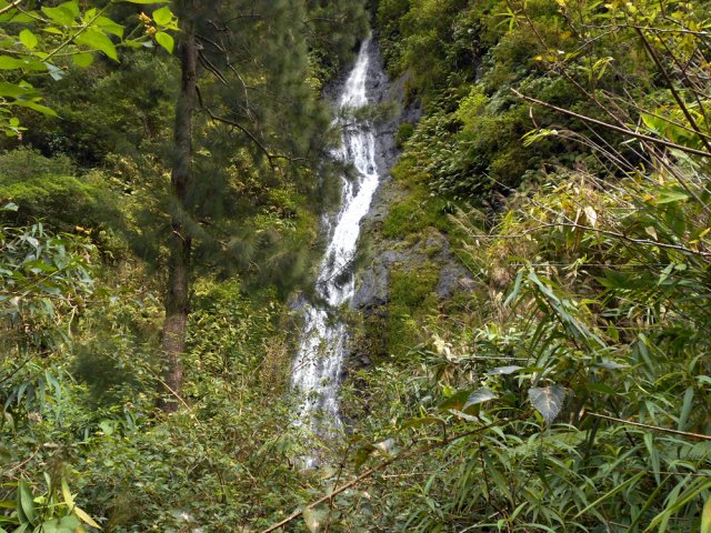 Vue de la chute depuis la limite des cultures