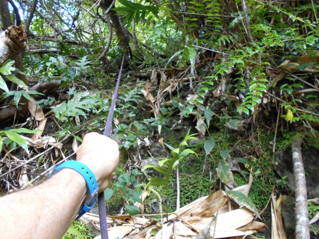 De plus en plus de fortes pentes au fur et à mesure de l'ascension