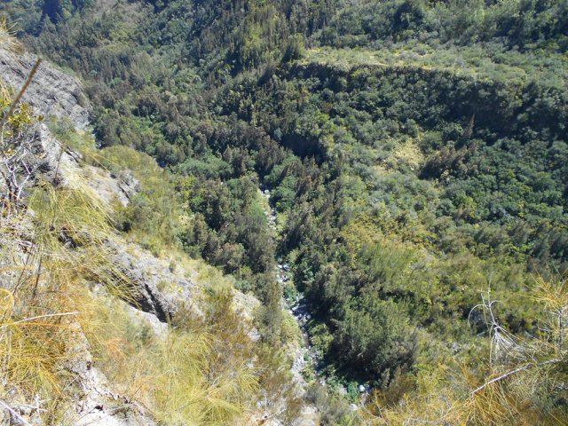 A un moment, le sentier longe le précipice vers le Petit Bras de Cilaos