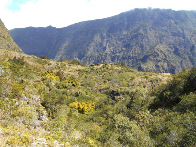 Au col, on domine l'Îlet Haute et l'on aperçoit quelques cases