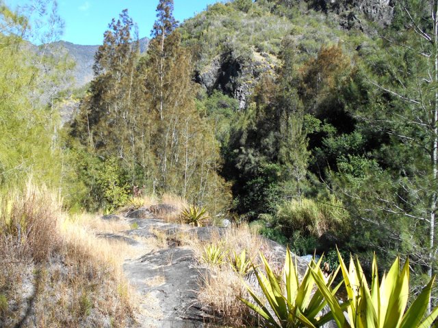 Le sentier passe sur les rochers qui dominent le Petit Bras de Cilaos