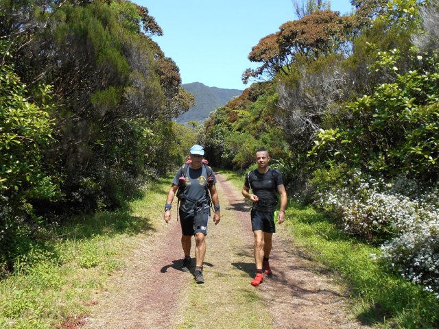 La piste forestière de Takamaka est une vraie balade