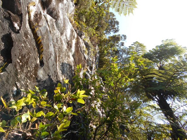Le sentier longe un court moment cette impressionnantes barre rocheuse
