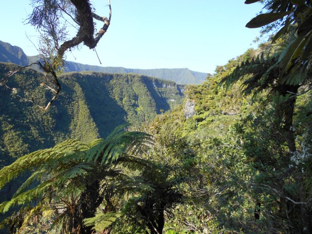 La vallée de la Rivière des Marsouins. On n'entend pas encore le bruit des chutes