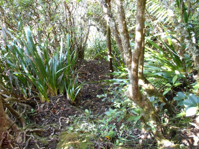 Jamais on ne cherche le sentier qui très bien tracé