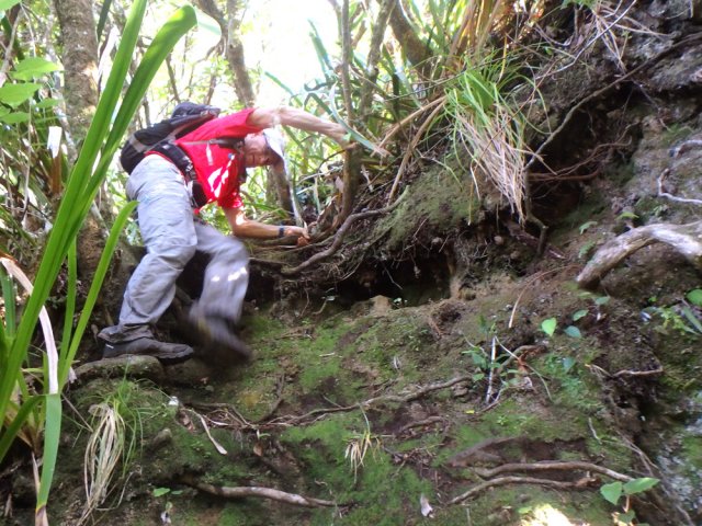 Il y a toujours un endroit où poser le pied