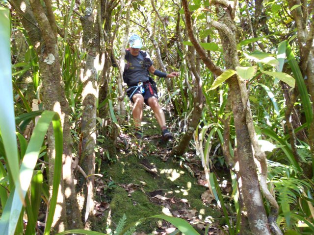 Le sol est glissant par endroits. Se tenir aux arbres