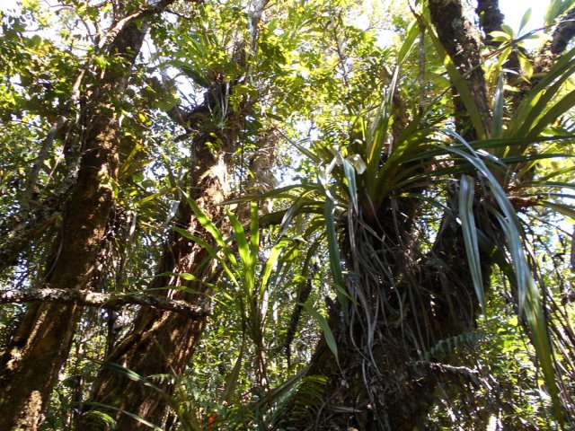 On a encore la force d'admirer quelques arbres avant la descente très sportive