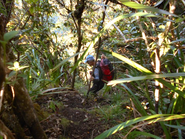Le rempart s'attaque sans transition et la descente est immédiate